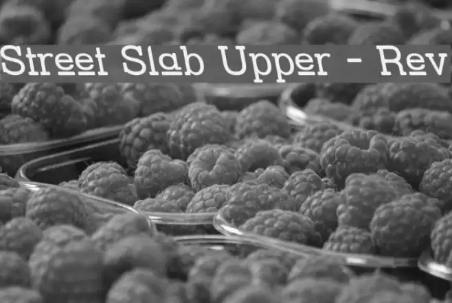 Street Slab Upper - Rev Font examples