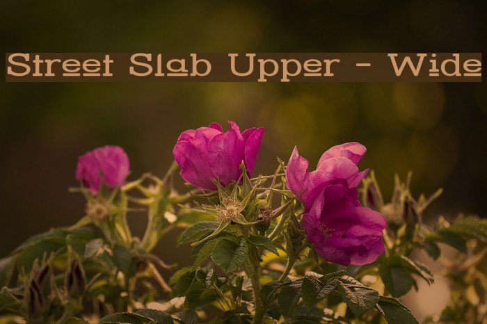 Street Slab Upper - Wide Font examples