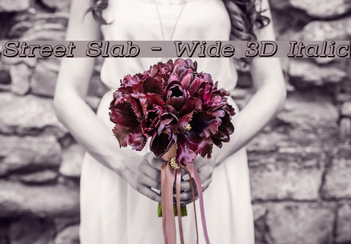 Street Slab - Wide 3D Italic Font examples