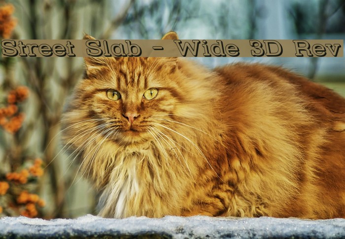 Street Slab - Wide 3D Rev Font examples