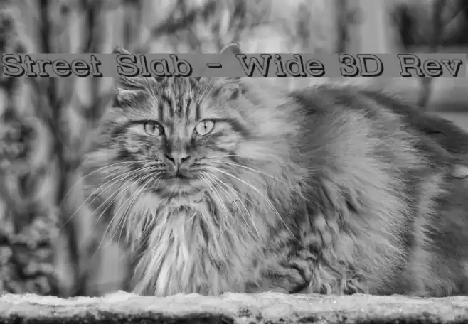 Street Slab - Wide 3D Rev Font examples