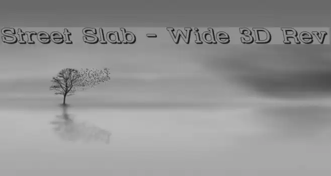 Street Slab - Wide 3D Rev Font examples