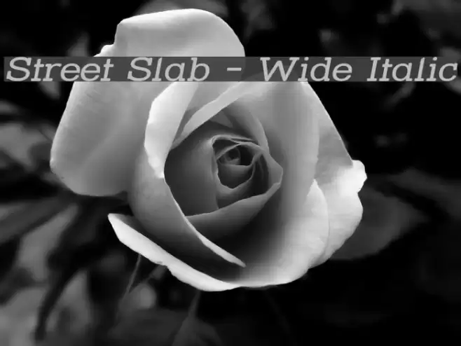Street Slab - Wide Italic Polices examples