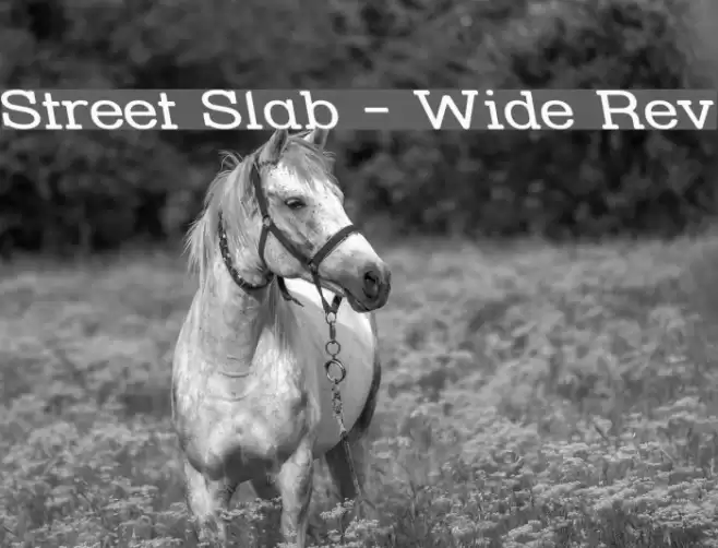 Street Slab - Wide Rev Font examples