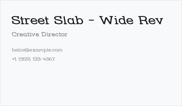 Street Slab - Wide Rev Business Card