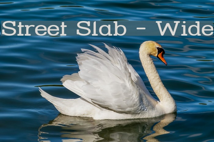 Street Slab - Wide Font examples