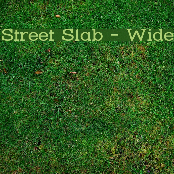 Street Slab - Wide Font examples