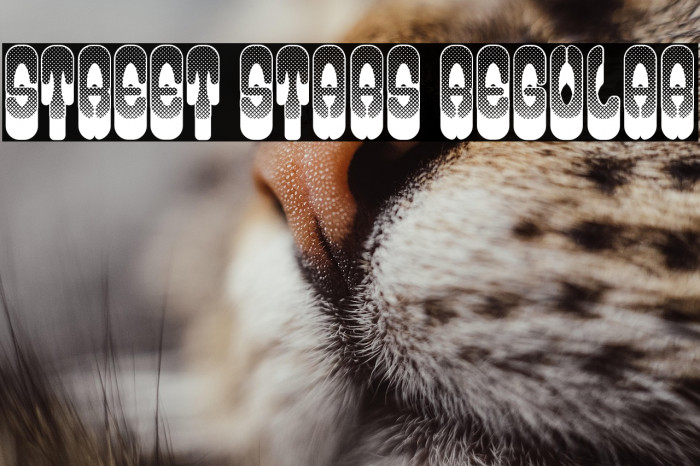 Street Stars Regular Example 2