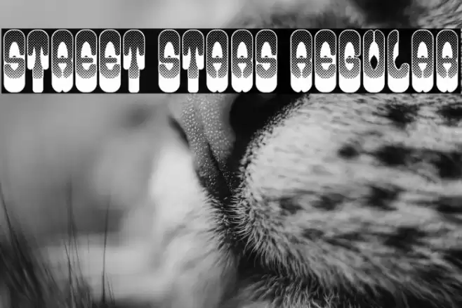 Street Stars Regular Font examples