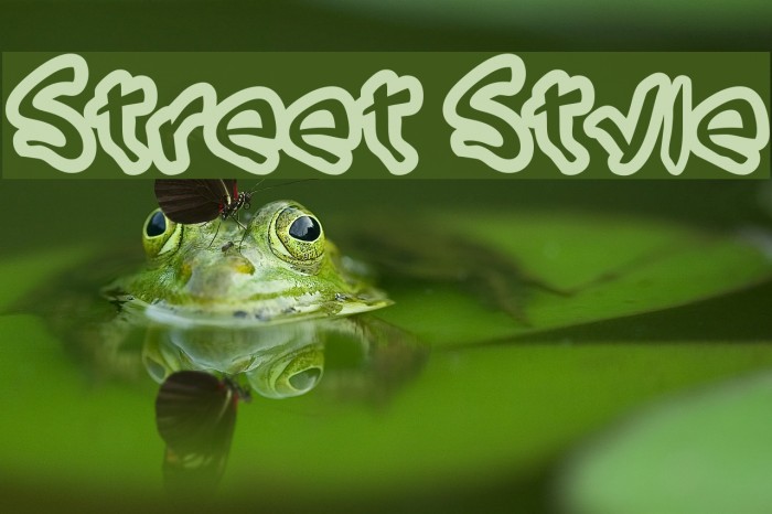 Street Style Font examples