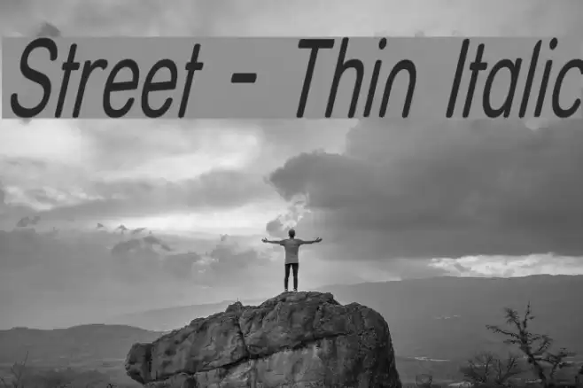 Street - Thin Italic Font examples