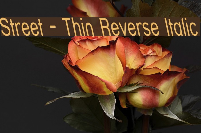 Street - Thin Reverse Italic Font examples