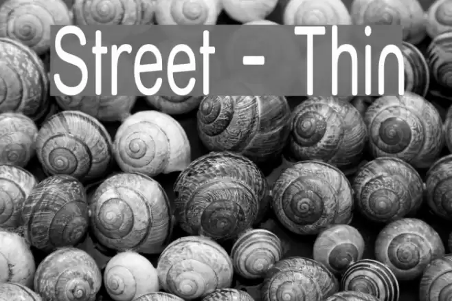 Street - Thin Font examples