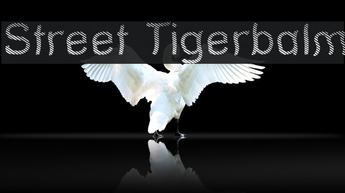 Street Tigerbalm Font examples