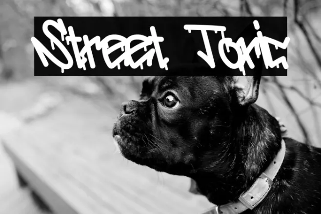 Street Toxic Example 1