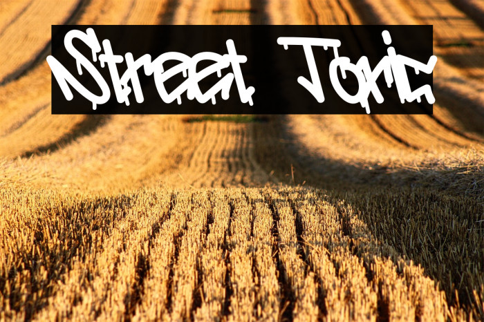 Street Toxic Example 2