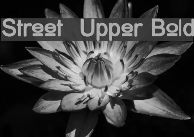 Street  Upper Bold  examples