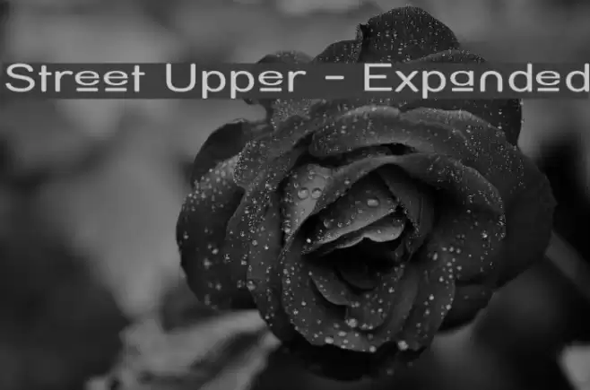 Street Upper - Expanded フォント examples