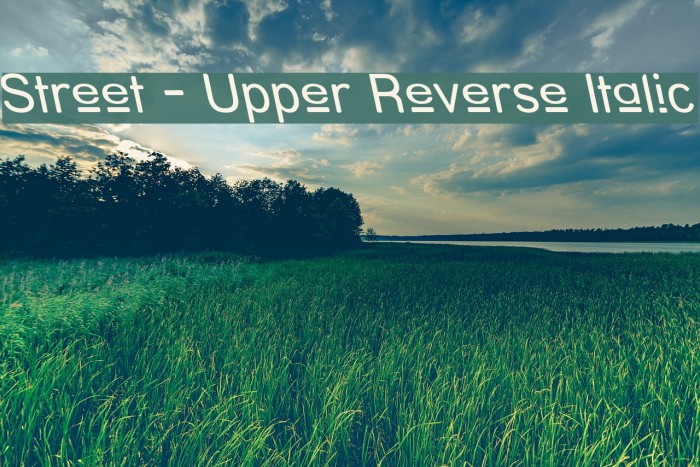 Street - Upper Reverse Italic Font examples