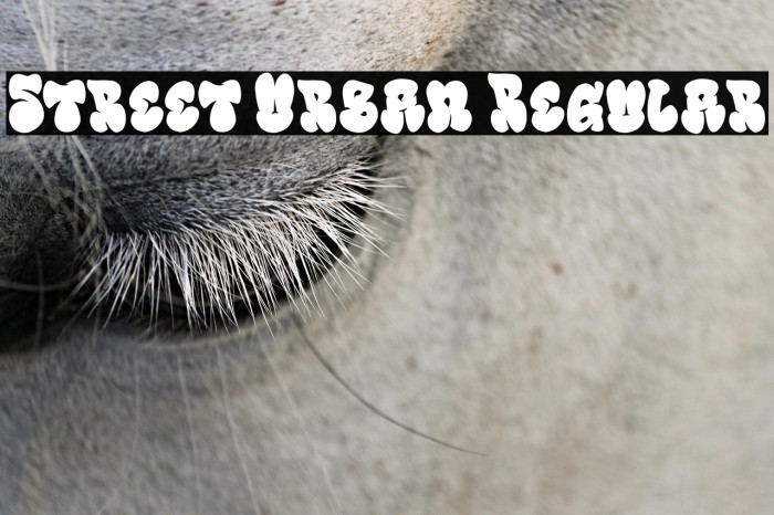 Street Urban Regular Example 2