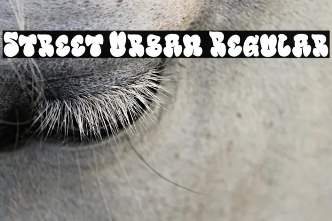 Street Urban Regular Example 2