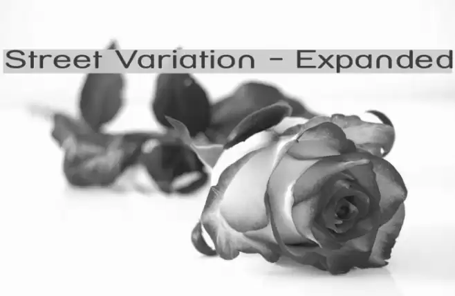 Street Variation - Expanded Font examples