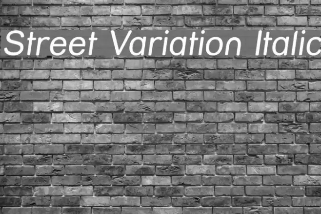 Street Variation Italic Font examples