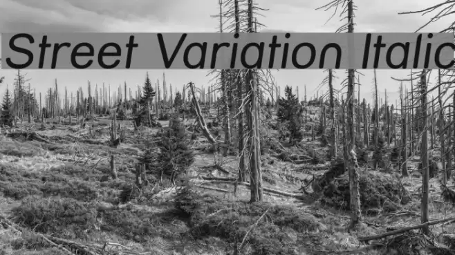Street Variation Italic Font examples