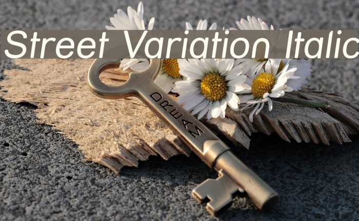 Street Variation Italic Font examples