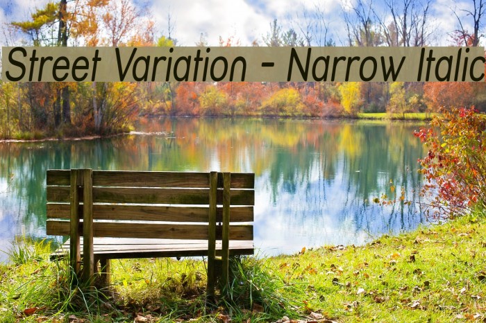 Street Variation - Narrow Italic Font examples