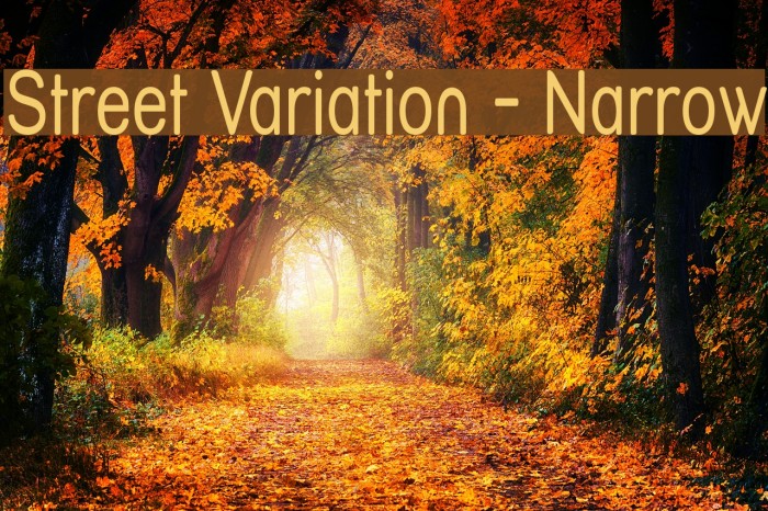Street Variation - Narrow Font examples