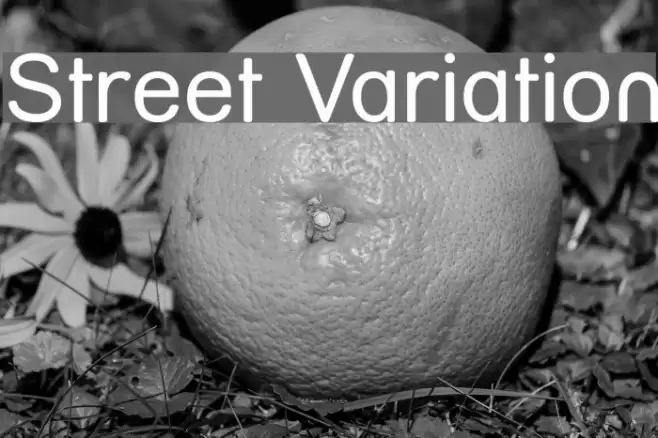Street Variation Font examples