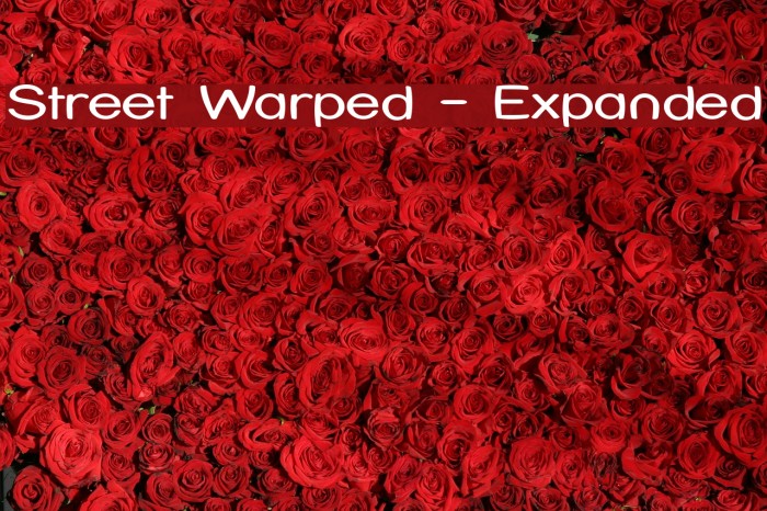 Street Warped - Expanded Font examples