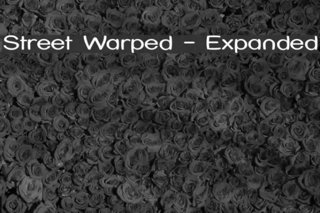 Street Warped - Expanded Polices examples