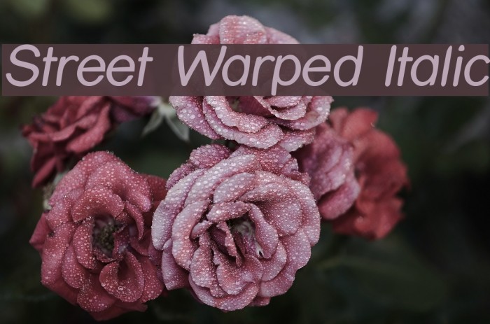 Street Warped Italic Font examples