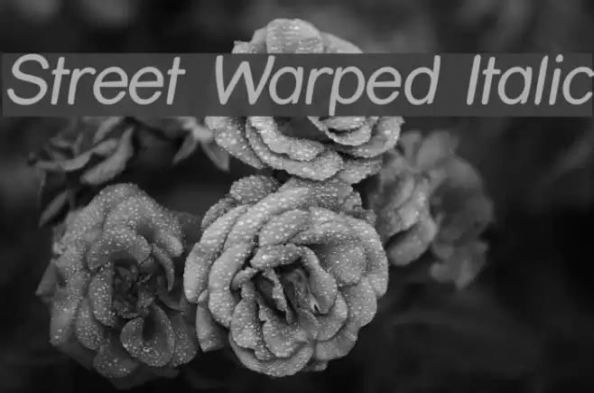 Street Warped Italic  examples