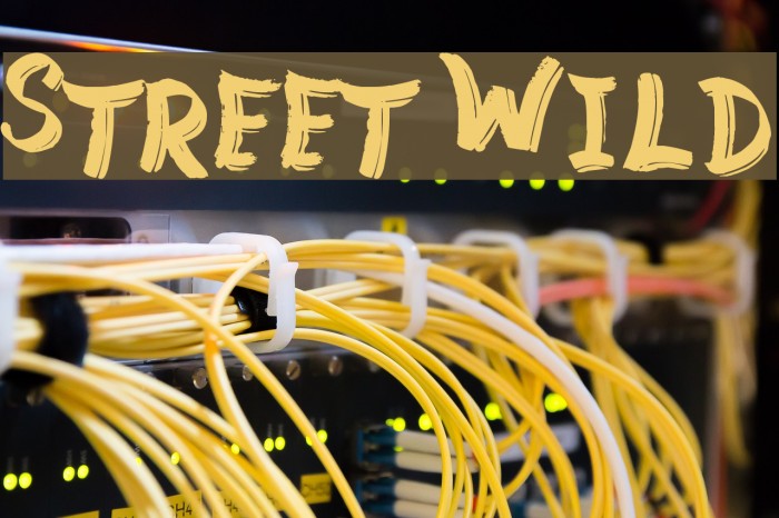 Street Wild Font examples
