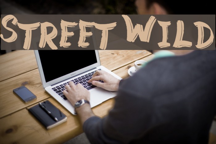 Street Wild Font examples