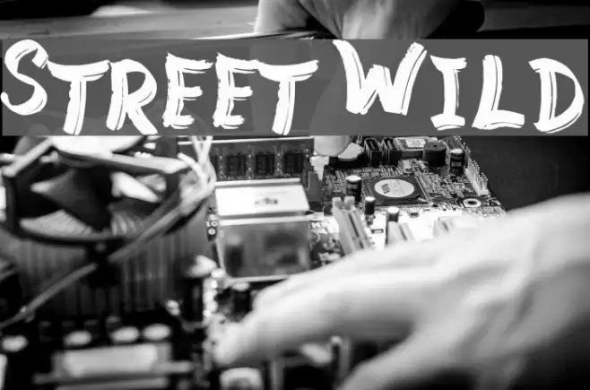 Street Wild Font examples