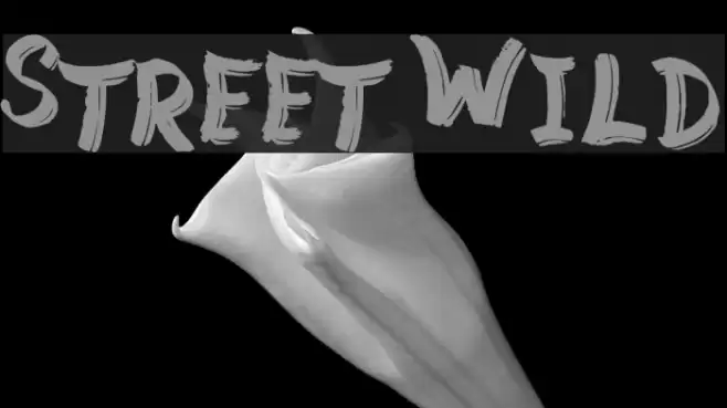 Street Wild Font examples
