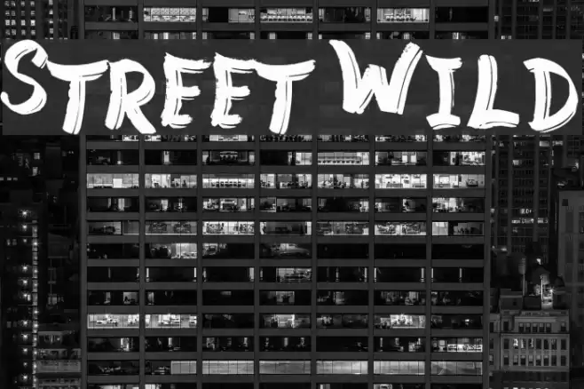 Street Wild Font examples