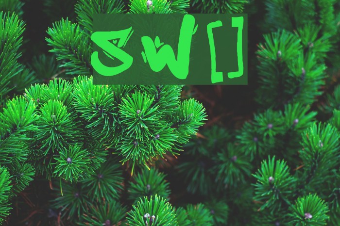 Street Writer [noah] Example 1