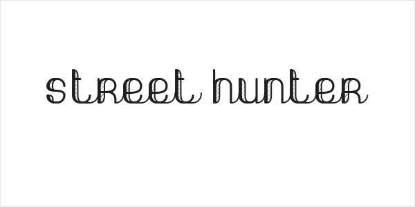Street hunter Logo