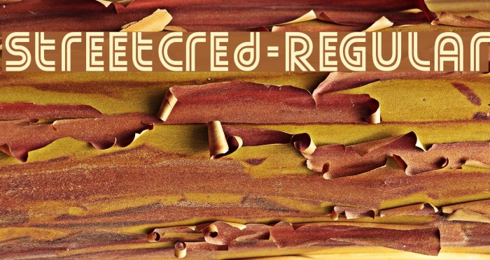StreetCred-Regular フォント examples