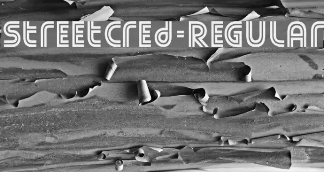 StreetCred-Regular フォント examples