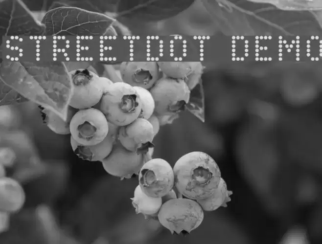 StreetDot Demo Font examples