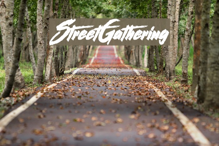 StreetGathering Example 1
