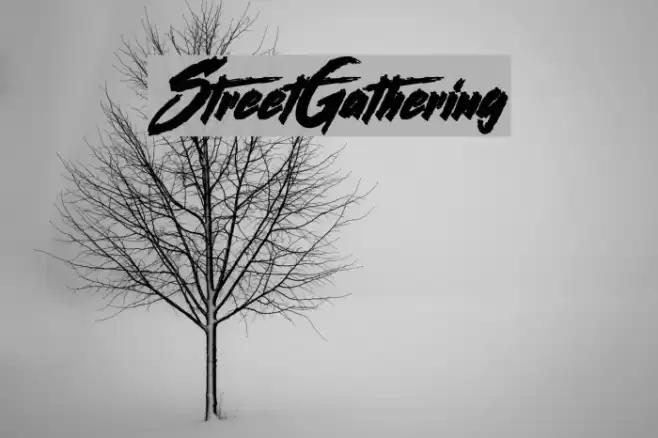StreetGathering Font examples