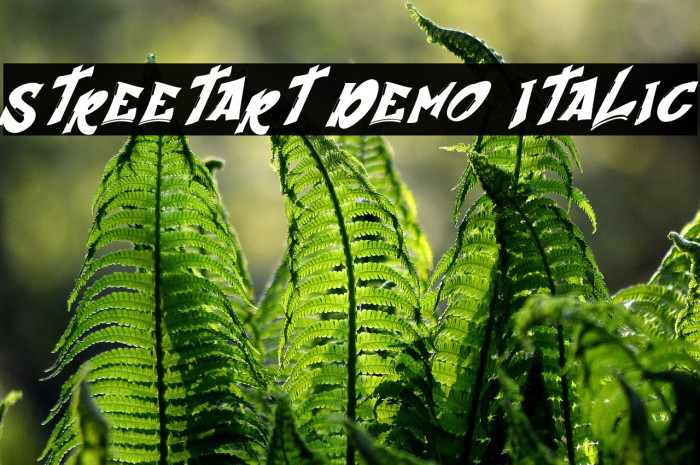 Streetart Demo Italic Example 2