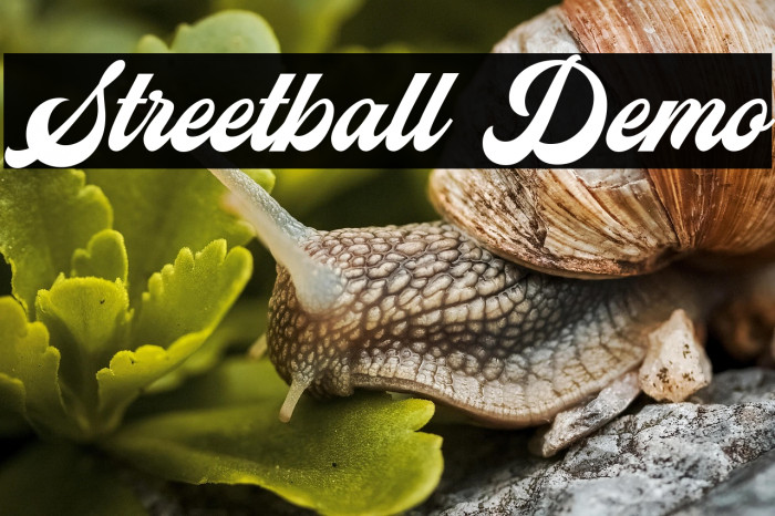 Streetball Demo Example 2